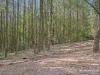Lot 2 Gibsons Road, Coopernook, NSW 2426-Image
