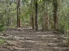 Lot 2 Gibsons Road, Coopernook, NSW 2426-Image