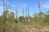 Lot 2  Gore Highway, Wattle Ridge, Qld 4357-Image