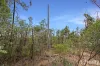 Lot 2  Gore Highway, Wattle Ridge, Qld 4357-Image