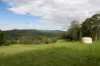 Lot 2 Guanaba Creek Road, Guanaba, Qld 4210-Image
