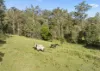 Lot 2 Guanaba Creek Road, Guanaba, Qld 4210-Image