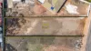 Lot 2, Heinrich Road, Freeling, SA 5372-Image