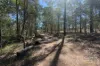 Lot 2 Ian Drive, Curra, Qld 4570-Image