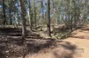 Lot 2 Ian Drive, Curra, Qld 4570-Image