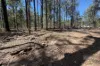 Lot 2 Ian Drive, Curra, Qld 4570-Image