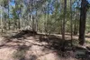 Lot 2 Ian Drive, Curra, Qld 4570-Image
