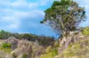Lot 2, Ingoldsby Road, Ingoldsby, Qld 4343-Image