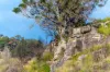 Lot 2, Ingoldsby Road, Ingoldsby, Qld 4343-Image