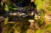 Lot 2, Ingoldsby Road, Ingoldsby, Qld 4343-Image