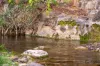 Lot 2, Ingoldsby Road, Ingoldsby, Qld 4343-Image