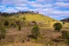 Lot 2, Ingoldsby Road, Ingoldsby, Qld 4343-Image