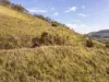 Lot 2, Ingoldsby Road, Ingoldsby, Qld 4343-Image