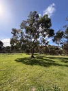 Lot 2, Marcus Court, Naracoorte, SA 5271-Image