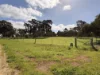 Lot 2, Marcus Court, Naracoorte, SA 5271-Image