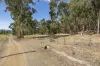 Lot 2, Millers Road, Middleton, Tas 7163-Image