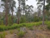Lot 2, Off Paddys Lane, Franklin, Tas 7113-Image
