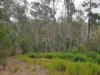 Lot 2, Off Paddys Lane, Franklin, Tas 7113-Image