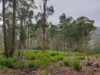 Lot 2, Off Paddys Lane, Franklin, Tas 7113-Image