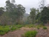 Lot 2, Off Paddys Lane, Franklin, Tas 7113-Image