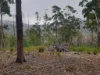Lot 2, Off Paddys Lane, Franklin, Tas 7113-Image