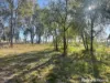 Lot 2, Thanes Creek Road, Thane, Qld 4370-Image