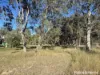 Lot 2, Thanes Creek Road, Thane, Qld 4370-Image