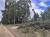 Lot 2 Wadleys Road, Reedy Marsh, Tas 7304