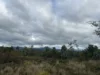 Lot 2 Wadleys Road, Reedy Marsh, Tas 7304-Image