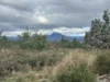 Lot 2 Wadleys Road, Reedy Marsh, Tas 7304-Image
