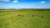Lot 2, Warrong Siding Road & Custs Road, Warrong, Vic 3283-Image