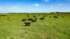 Lot 2, Warrong Siding Road & Custs Road, Warrong, Vic 3283-Image