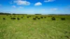 Lot 2, Warrong Siding Road & Custs Road, Warrong, Vic 3283-Image