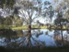 Lot 20 Inglis Road, Benalla, Vic 3672-Image