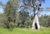 Lot 20 Inglis Road, Benalla, Vic 3672-Image