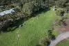 Lot 200, Richardson Road, Boston, SA 5607-Image
