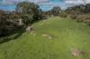Lot 200, Richardson Road, Boston, SA 5607-Image