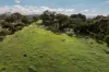 Lot 200, Richardson Road, Boston, SA 5607-Image