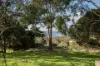 Lot 200, Richardson Road, Boston, SA 5607-Image