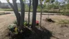 Lot 201 Edward Street, Mount Perry, Qld 4671-Image