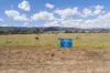 Lot 204 Muster Drive, Napperby, SA 5540-Image