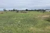 Lot 208, Arthur Street, Naracoorte, SA 5271