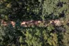 Lot 209, 36 Tallwood Loop, Witchcliffe, WA 6286-Image
