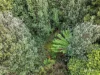 Lot 21 Esperance Coast Road, Dover, Tas 7117-Image
