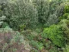 Lot 21 Esperance Coast Road, Dover, Tas 7117-Image