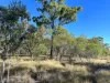 Lot 21 Shellytop Road, Durong, Qld 4610-Image