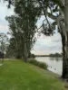 Lot 21, South Terrace, Blanchetown, SA 5357-Image