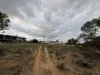 Lot 21, South Terrace, Blanchetown, SA 5357-Image
