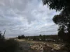 Lot 21, South Terrace, Blanchetown, SA 5357-Image