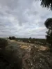 Lot 21, South Terrace, Blanchetown, SA 5357-Image